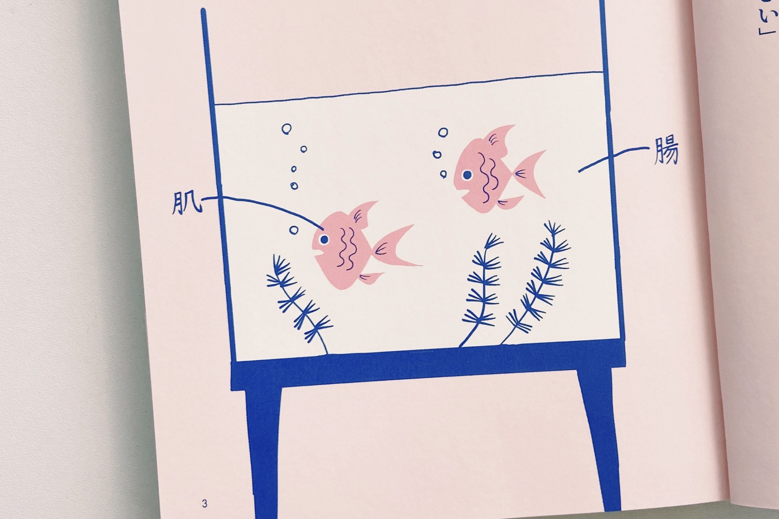 Recommended Inner Beauty Book